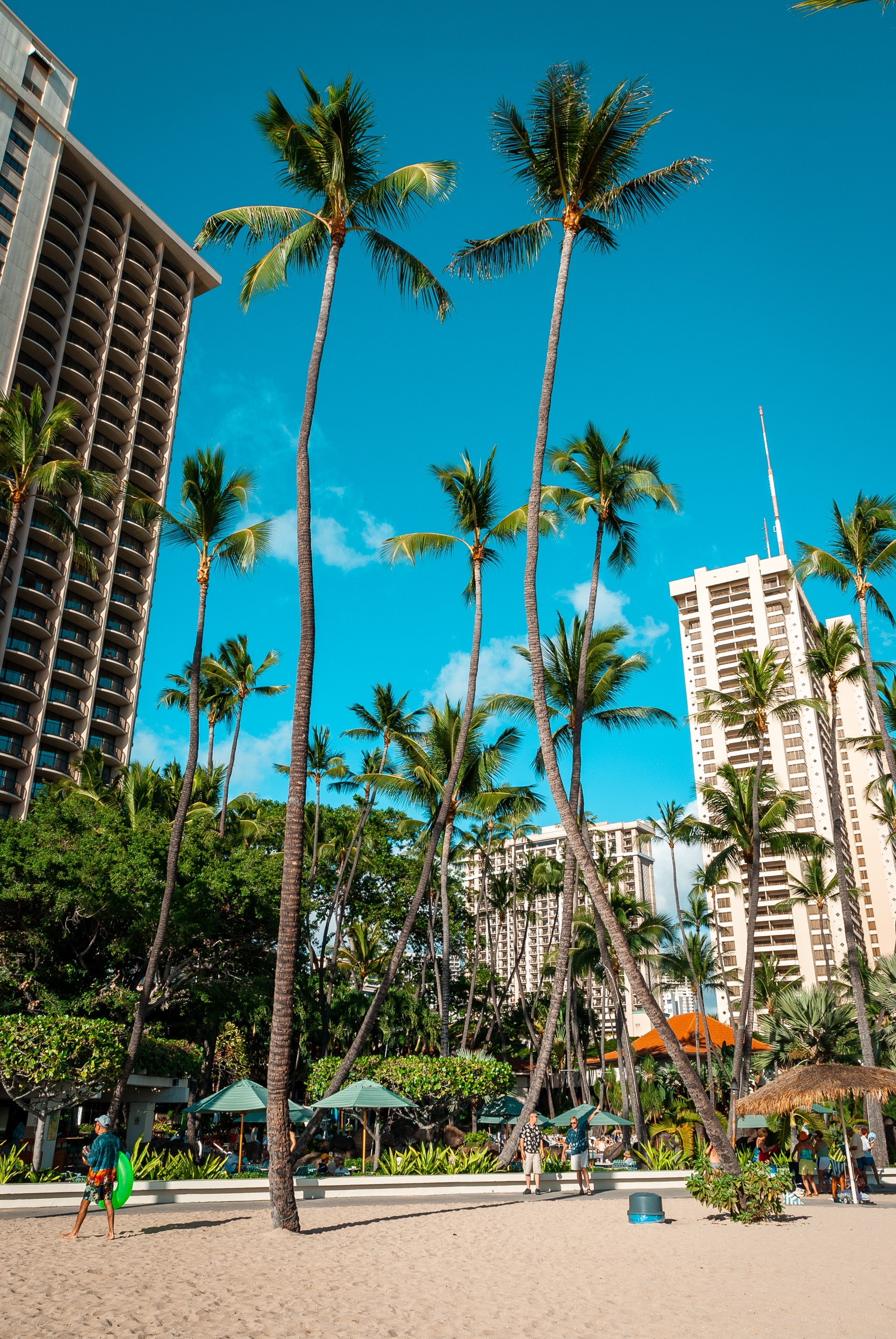 The Hilton Hawaiian Village in Waikiki 2