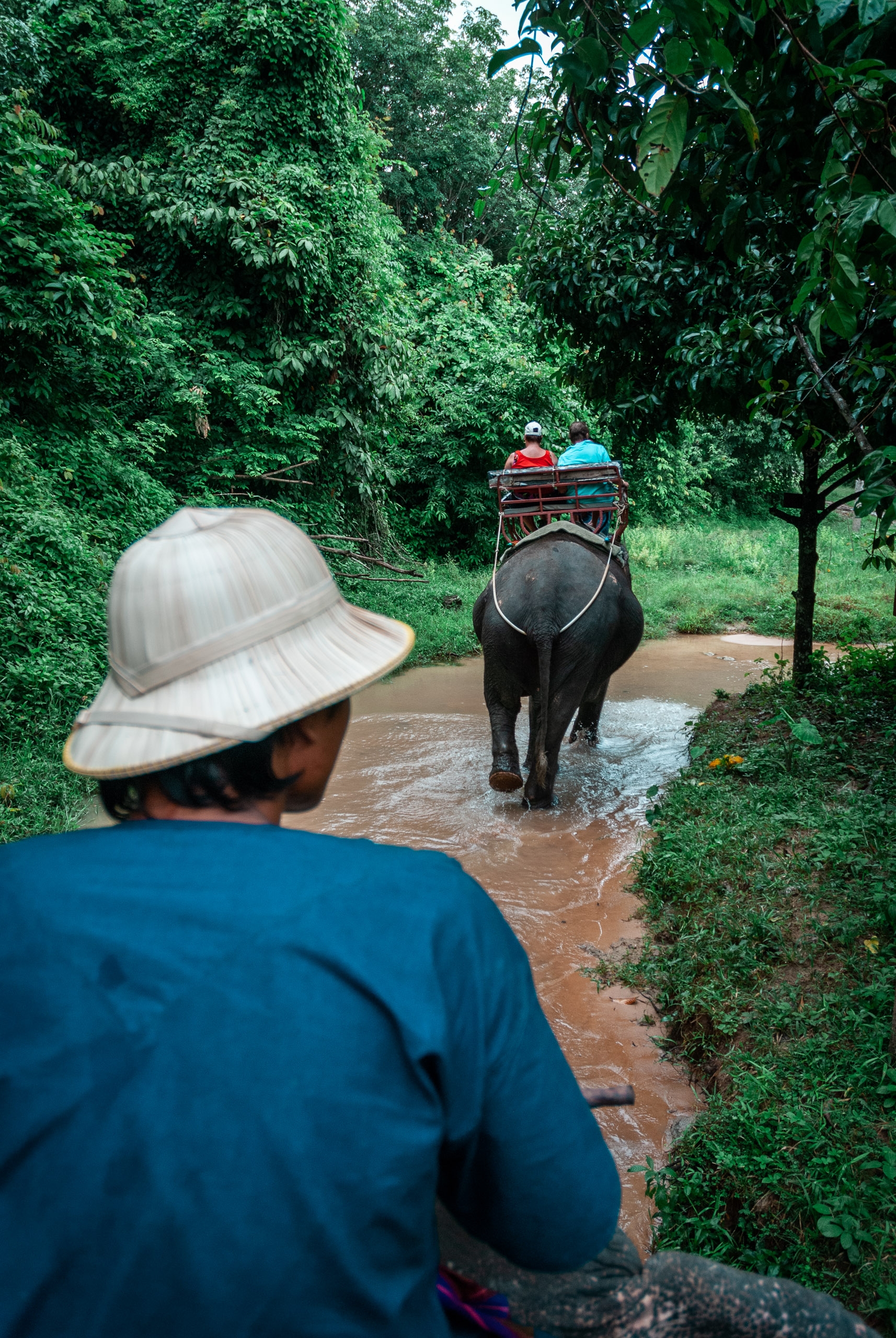 Riding an Elephant at the Elephant Reserve