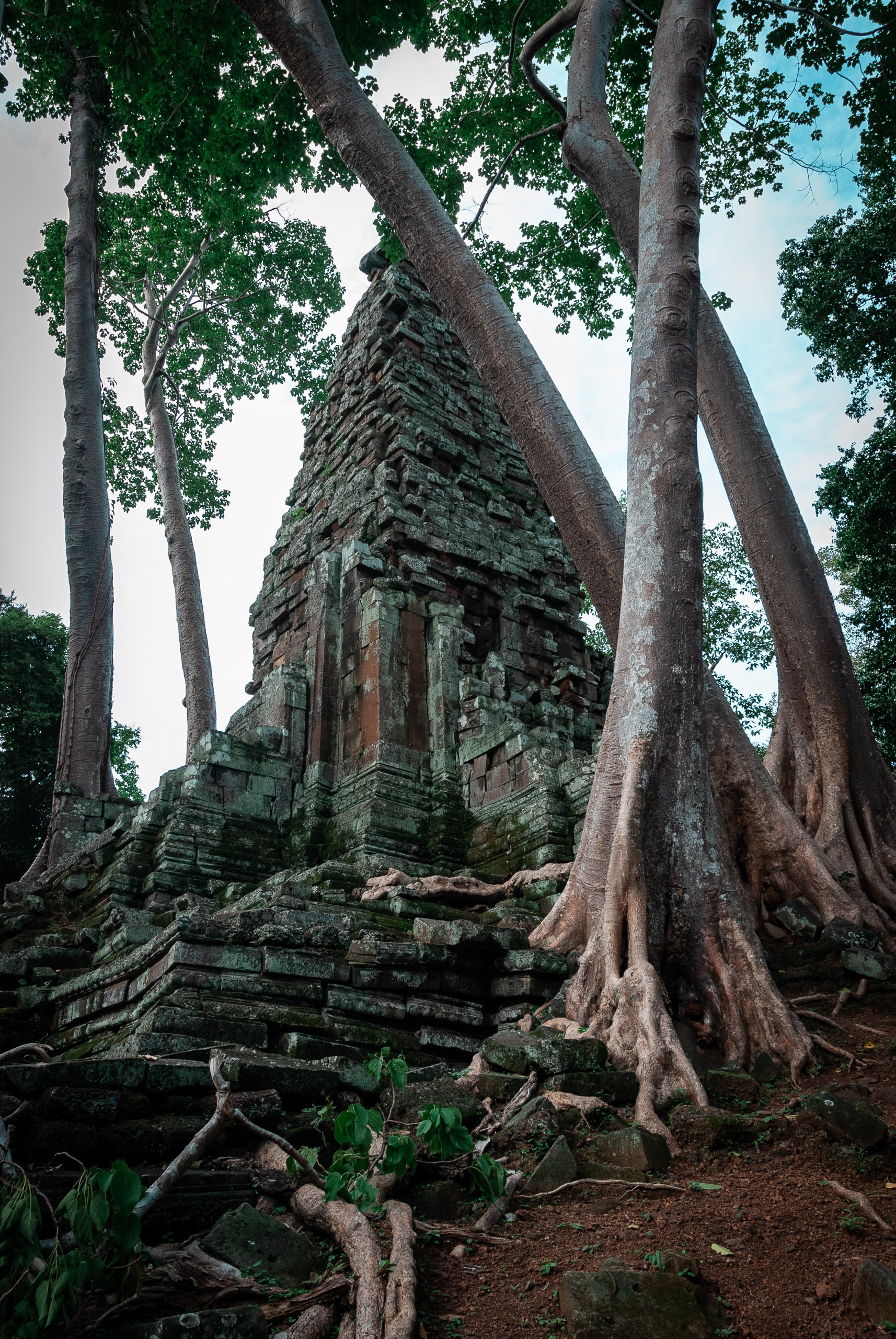 Cambodia - Angkor Wat - 2007-0626-DSC_0038_67035