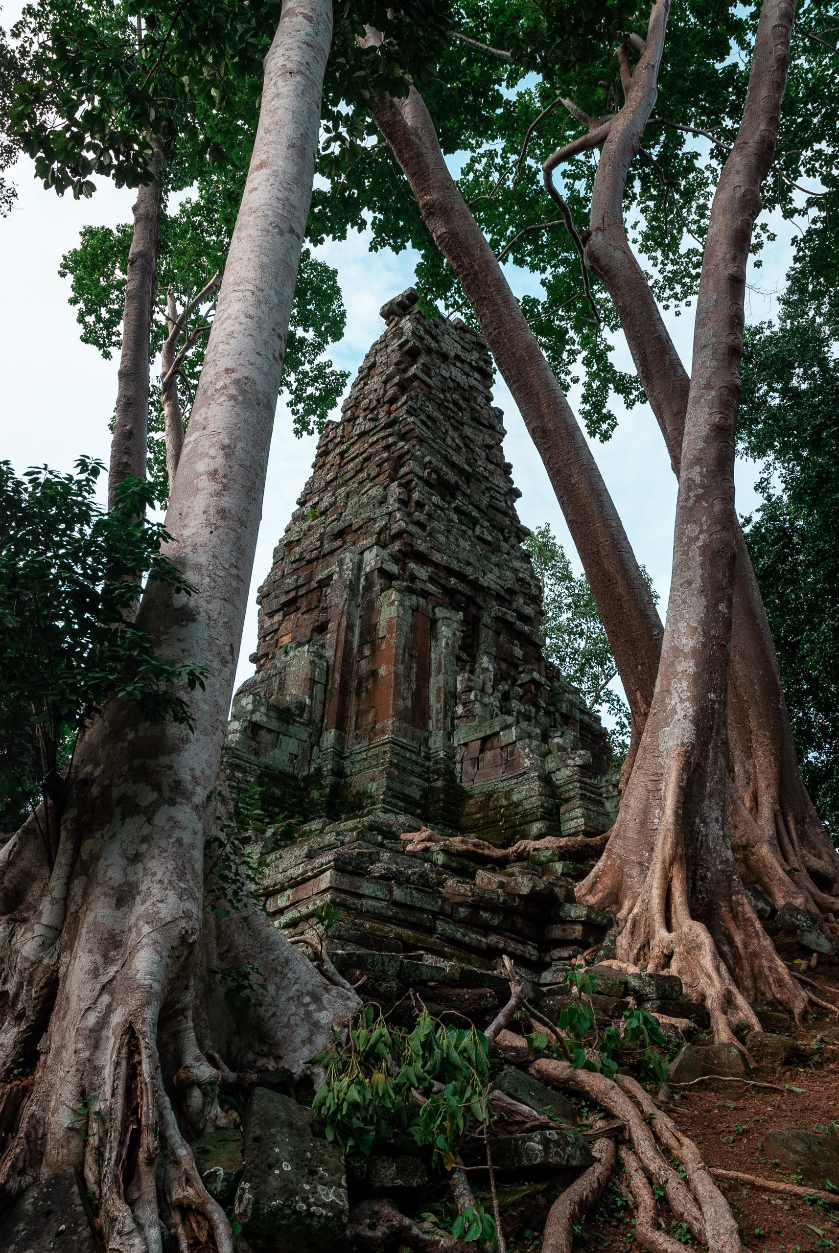 Cambodia - Angkor Wat - 2007-0626-DSC_0056_15847