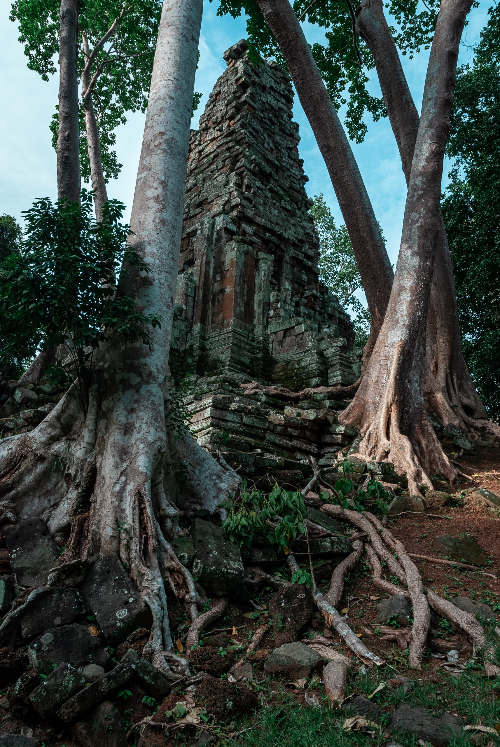Cambodia - Angkor Wat - 2007-0626-DSC_0074_100373