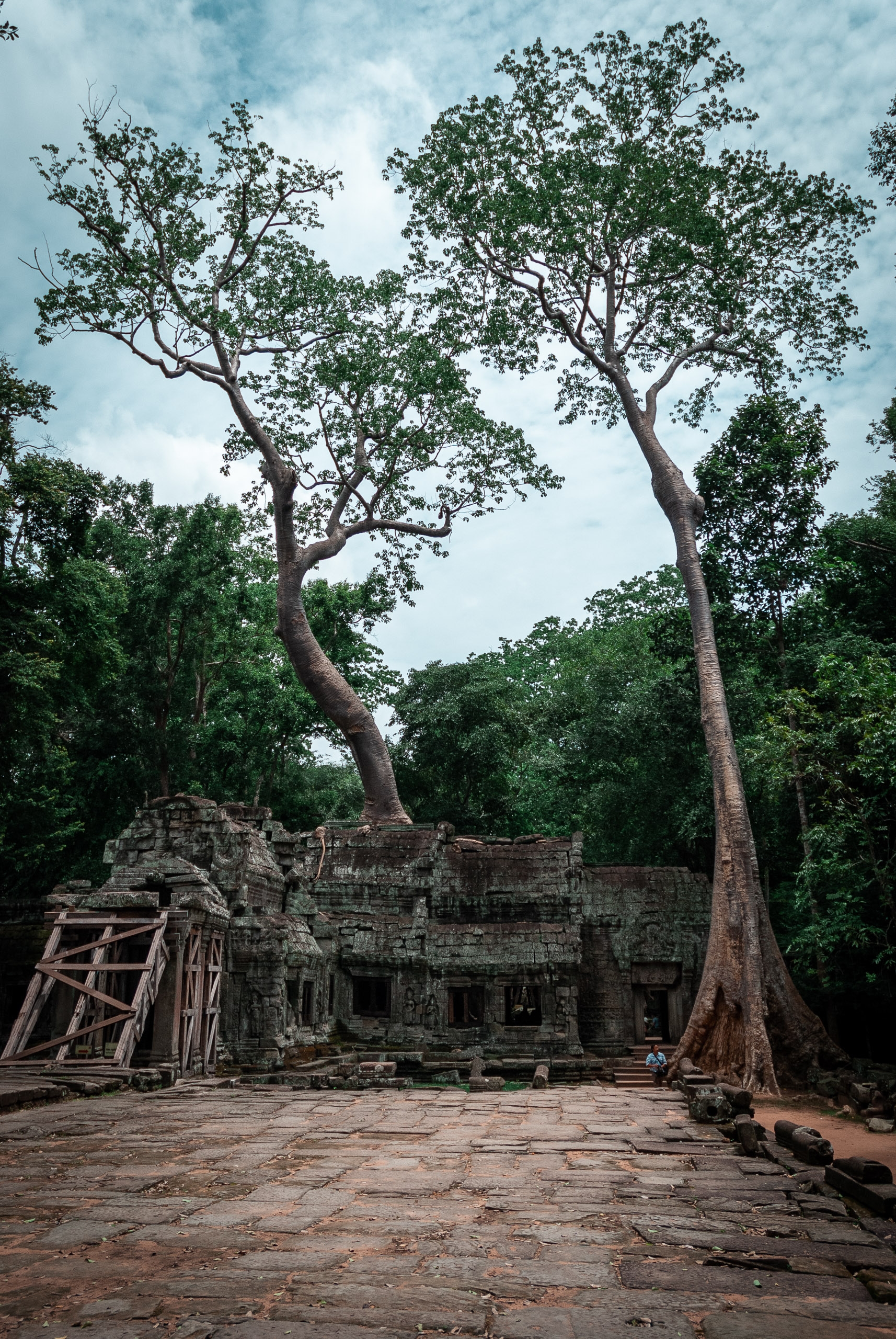 Cambodia - Angkor Wat - 2007-0627-DSC_0068_5623