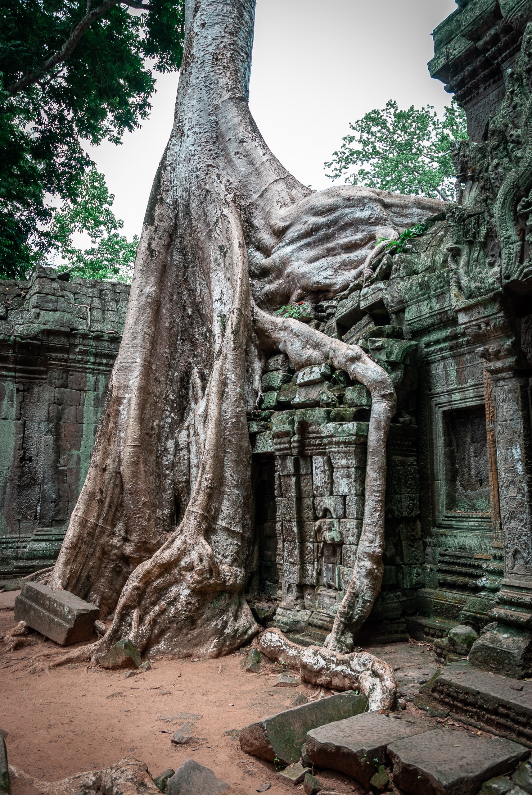Cambodia - Angkor Wat - 2007-0627-DSC_0107_72190