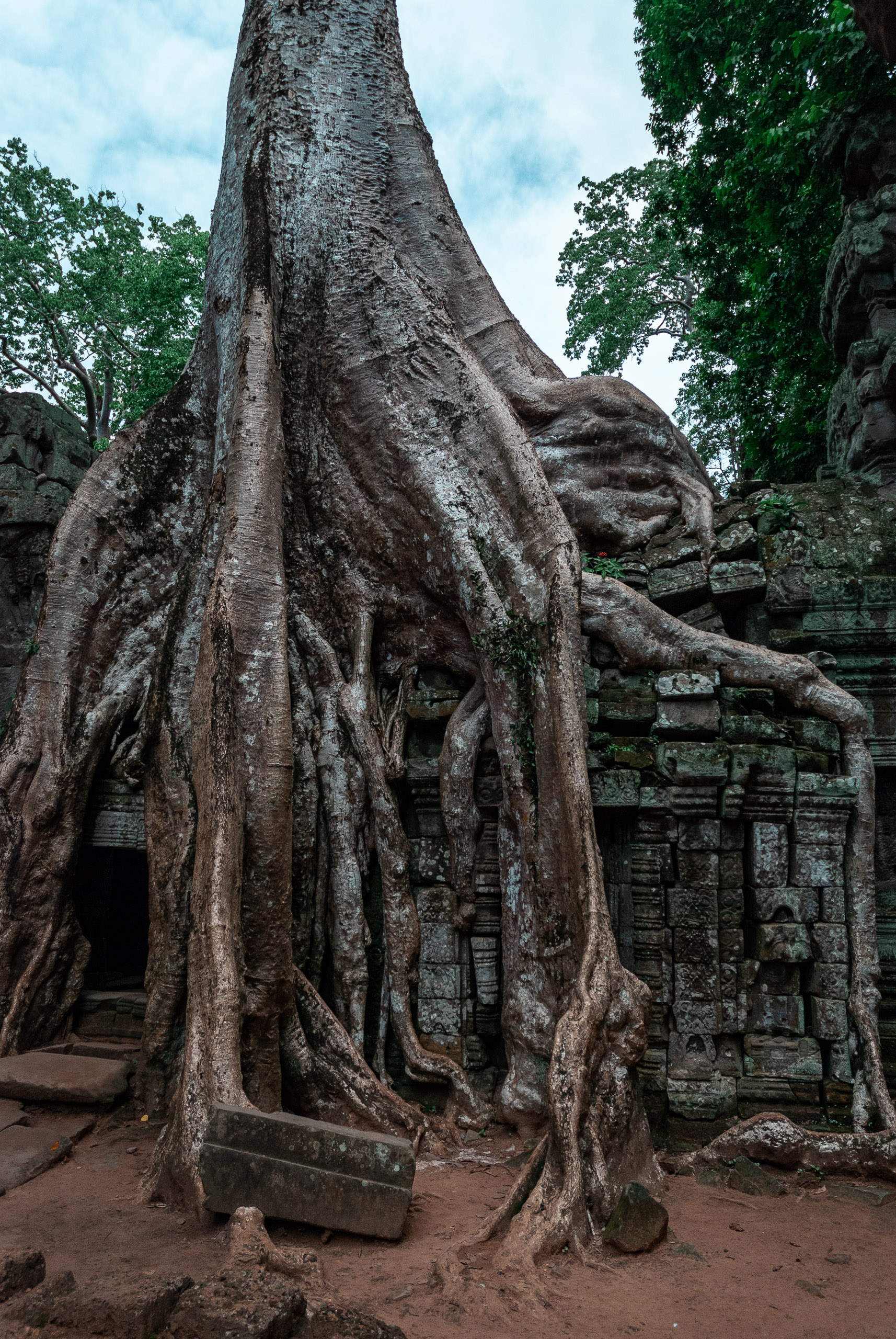 Cambodia - Angkor Wat - 2007-0627-DSC_0111_59383