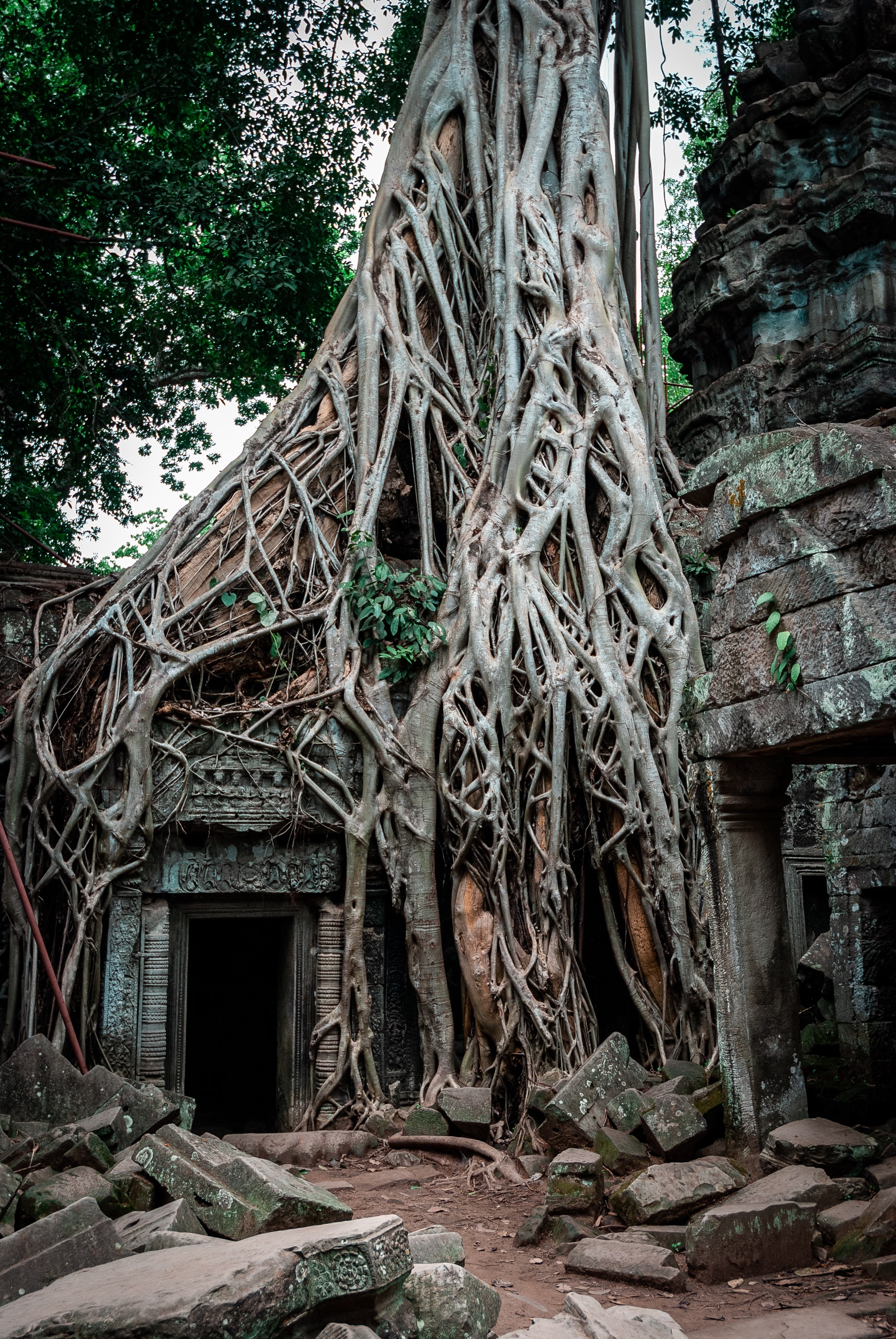 Cambodia - Angkor Wat - 2007-0627-DSC_0126_118338