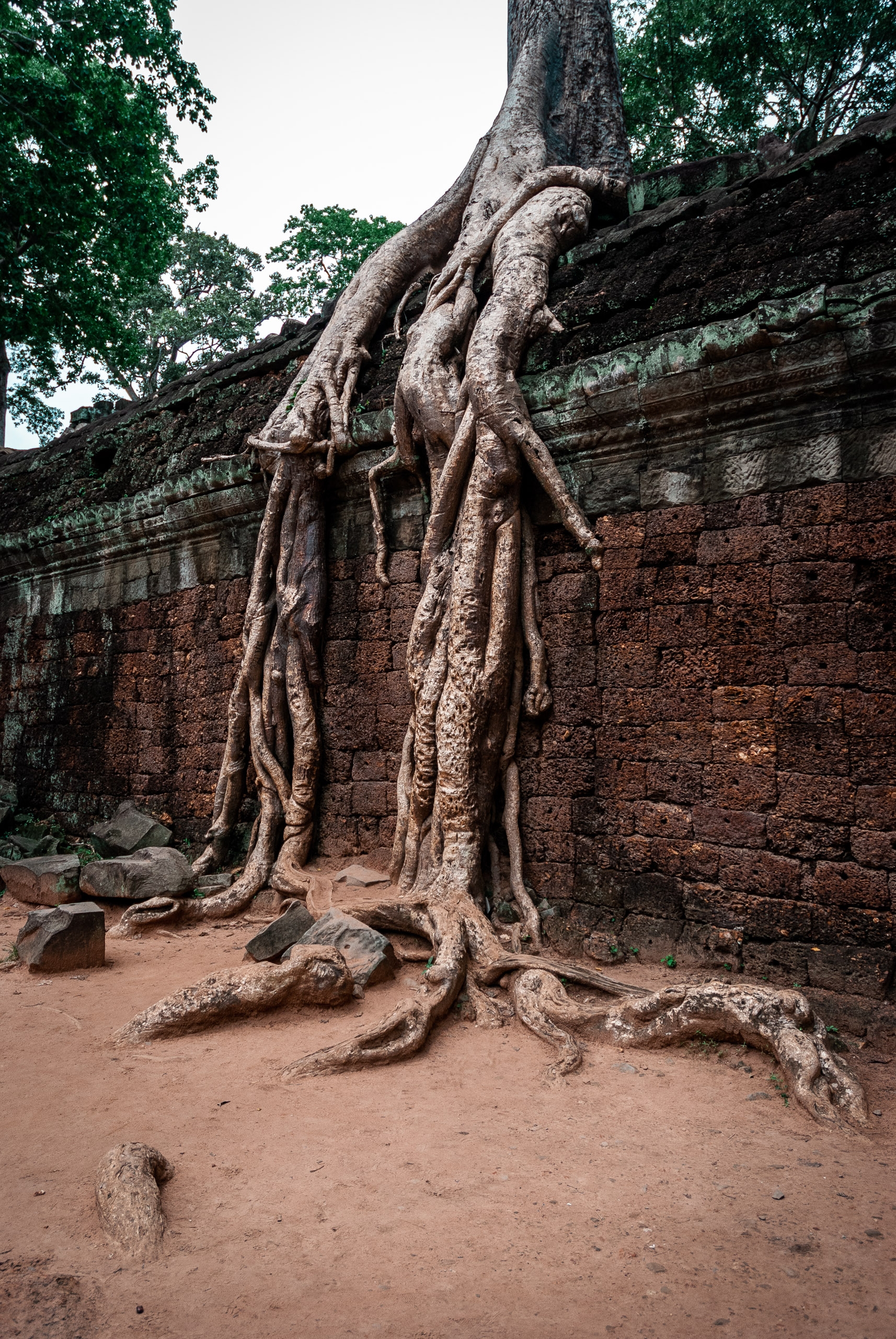 Cambodia - Angkor Wat - 2007-0627-DSC_0133_79881