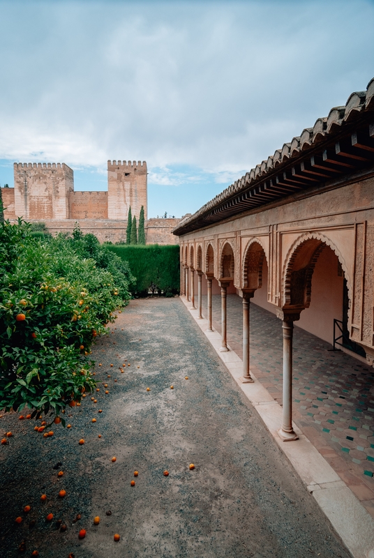 Spain - The Alhambra - 2008-0830-DSC_0193_58815