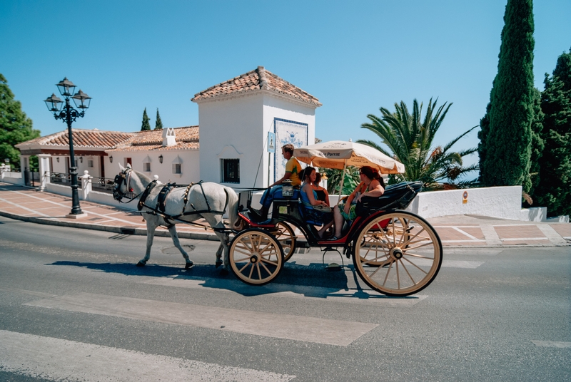 A Horsedrawn Carriage