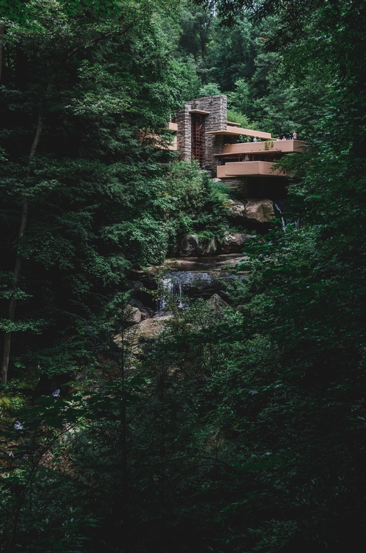 The View of Fallingwater - Part II