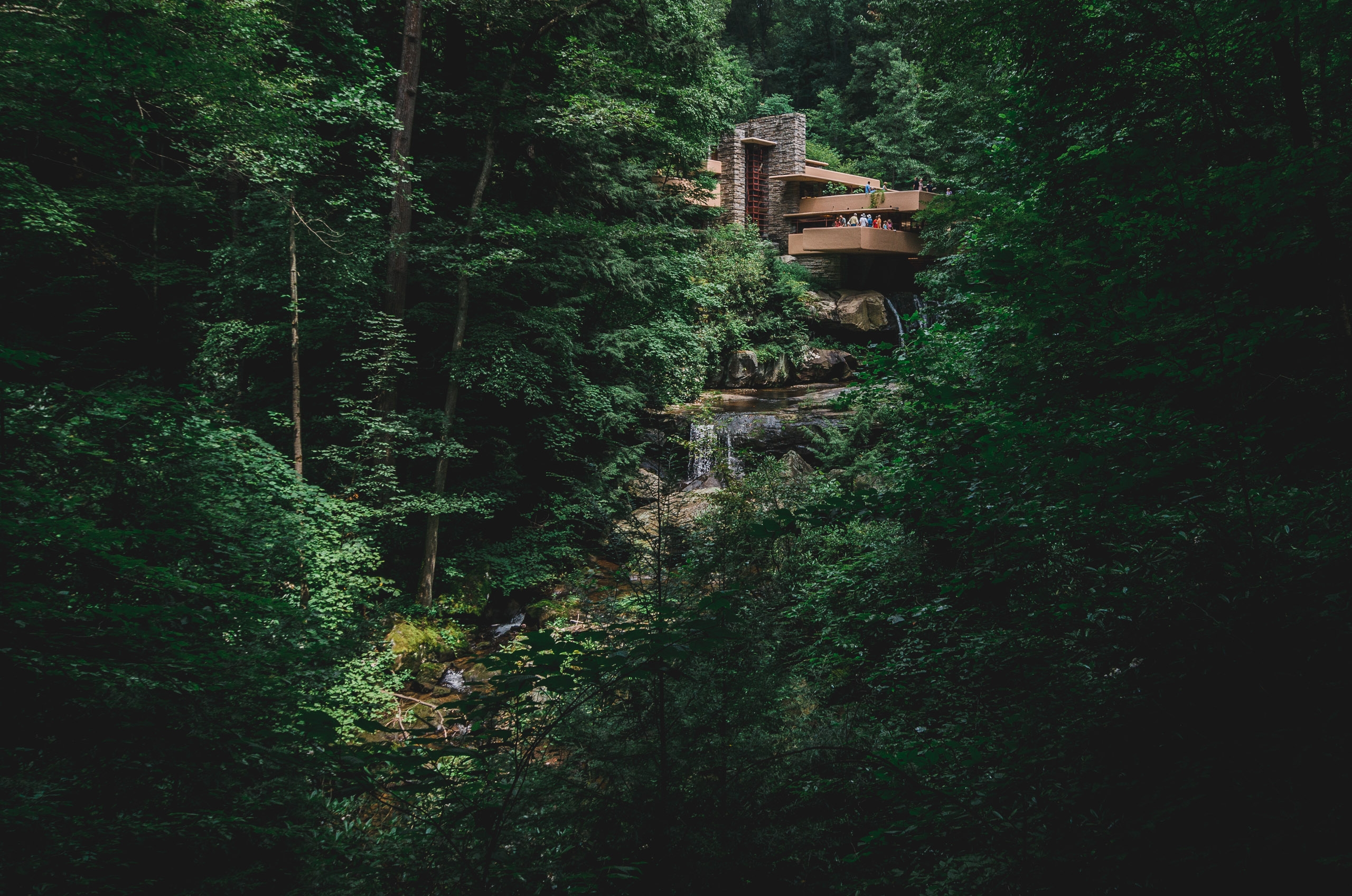 The View of Fallingwater - Wide Part II