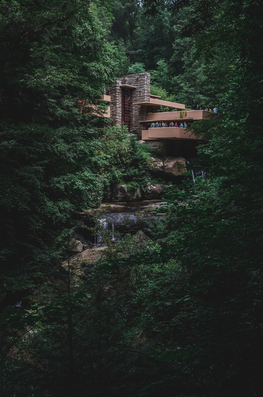 The View of Fallingwater