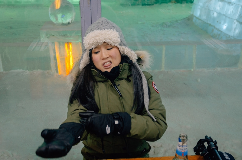 China - Harbin Ice Festival - 2012-0108-DSC_2042_101988