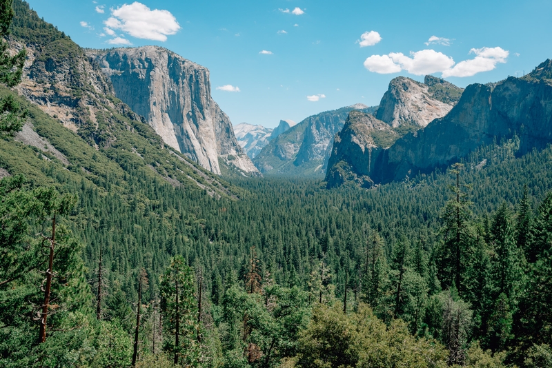 Yosemite National Park - 2012-0721-DSC_0108_54725