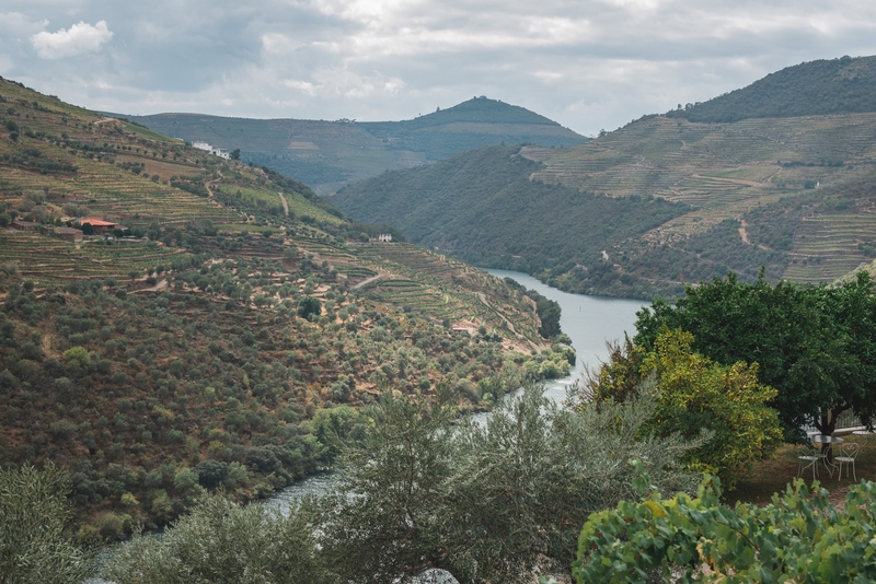 Portugal - The Douro Valley - 2012-0924-DSC_1671_29041