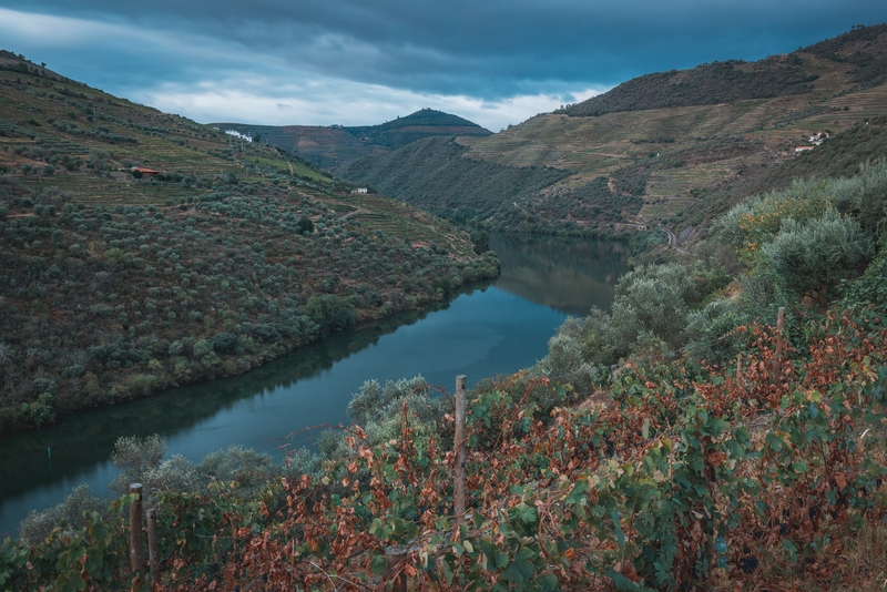 Portugal - The Douro Valley - 2012-0925-DSC_1761_13478