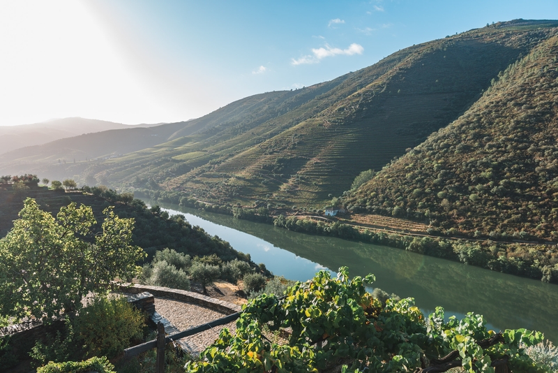 Portugal - The Douro Valley - 2012-0926-DSC_1852