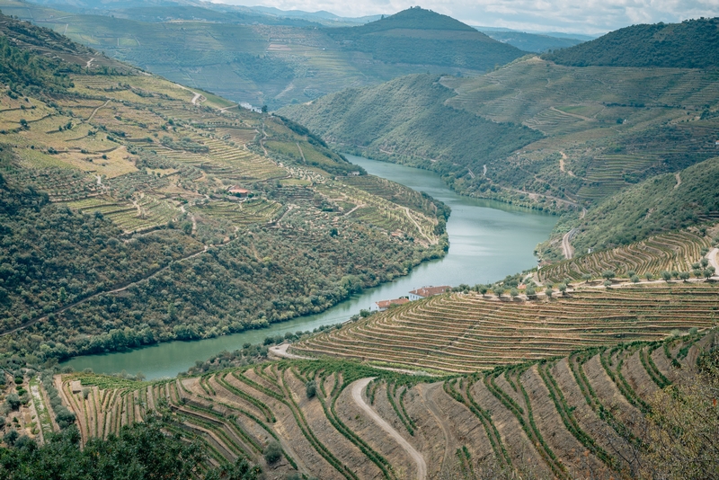 Portugal - The Douro Valley - 2012-0926-DSC_1906_100239