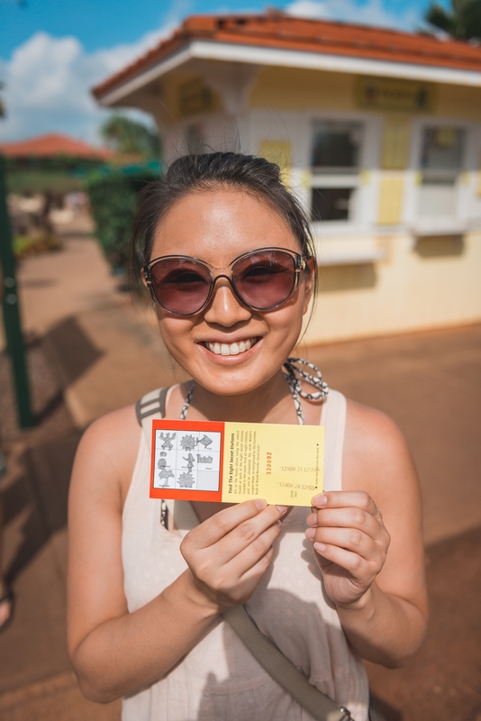 Jessica and her Ticket to the Pineapple Maze