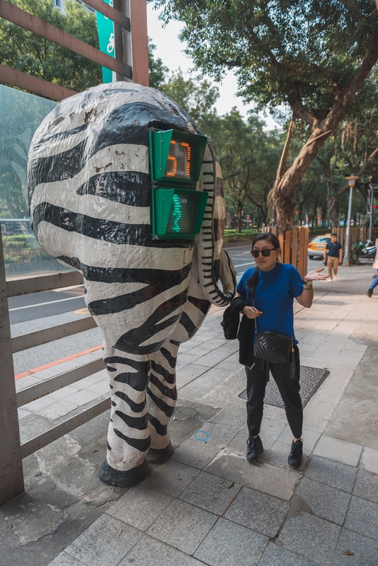 The Zebra Ass Crosswalk