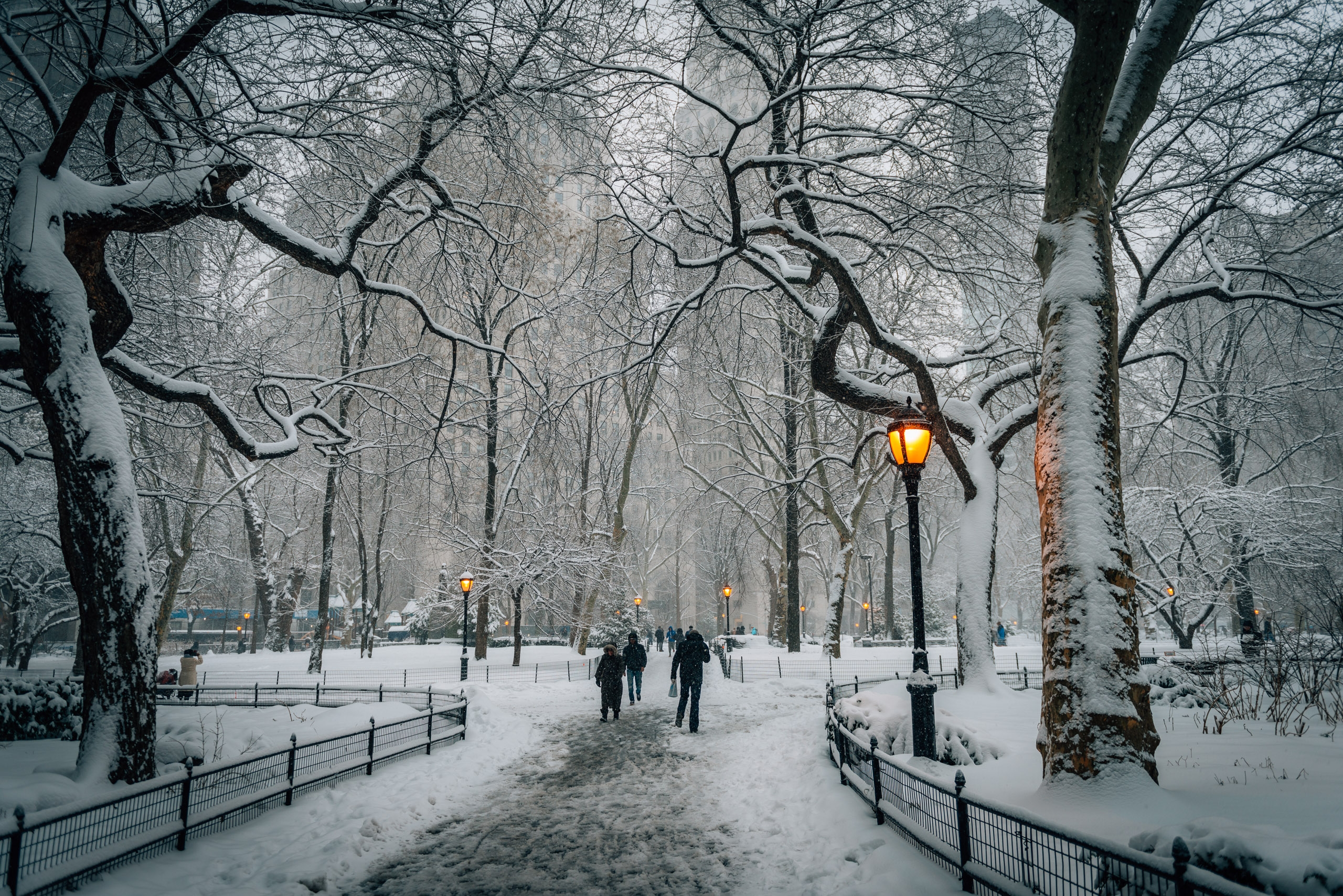 A Snowy Madison Square Park
