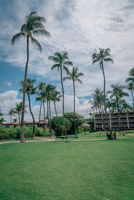 The Grand Wailea Resort on Maui 2