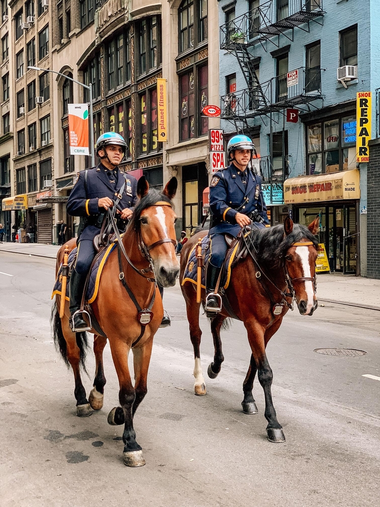 NYC Cops on Horseback