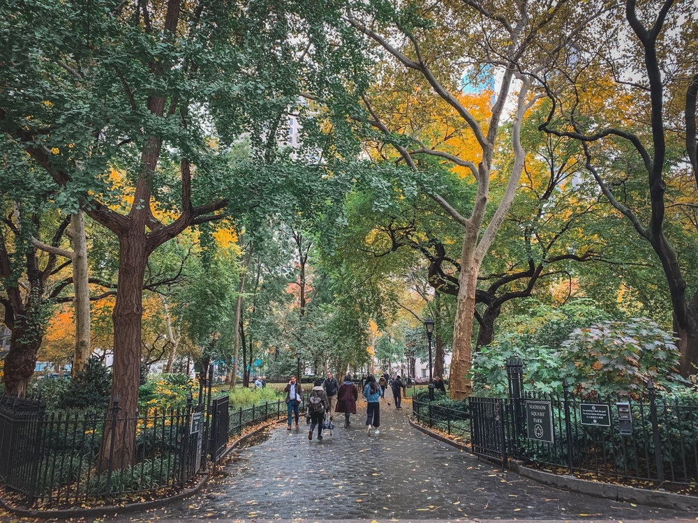 Fall in Madison Square Park
