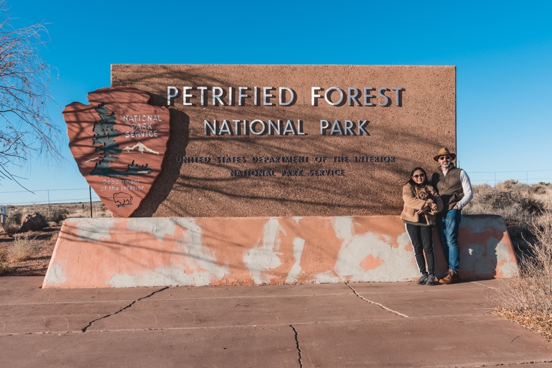 Welcome to the Petrified Forest National Park