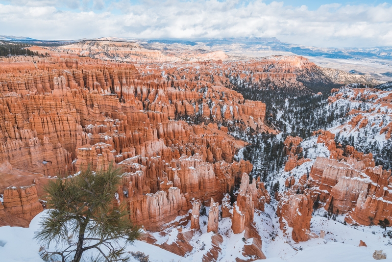 A Blizzardy Day at Bryce Canyon