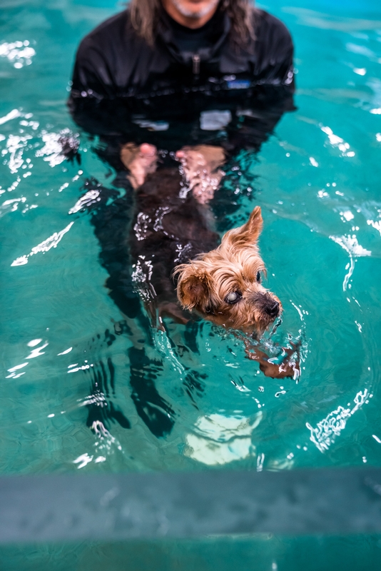 Water 4 Dogs - 2019-0615-DSC06409