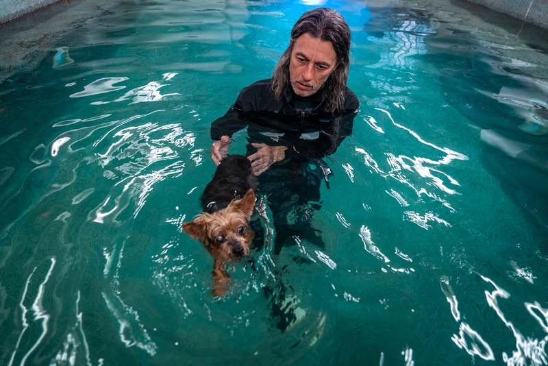 Water 4 Dogs - 2019-0615-DSC06444