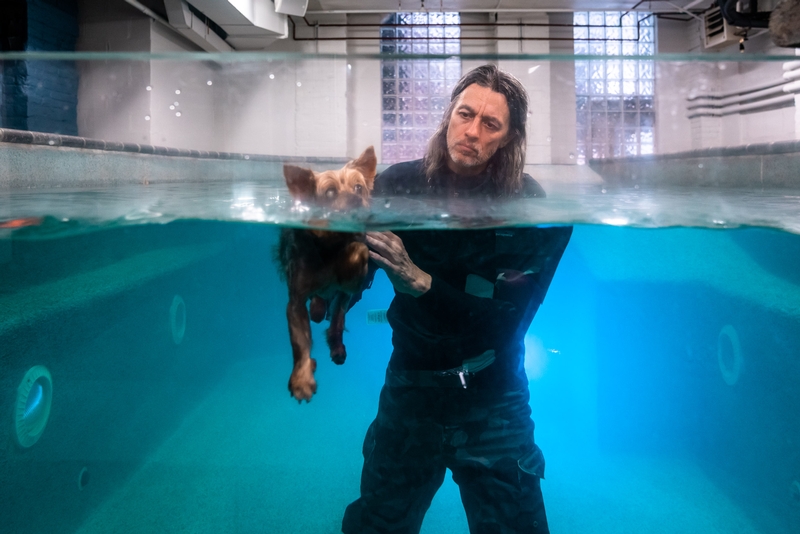 Water 4 Dogs - 2019-0615-DSC06456