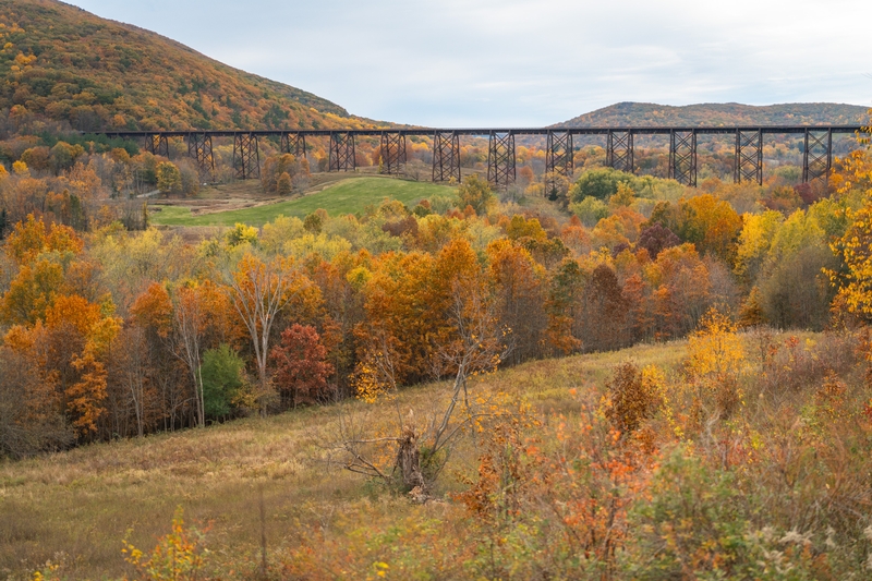 Fall Colors in Upstate New York - 2020-1025-_DSC3266